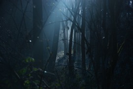 Reddit話題《碰過最怪異但別人不相信的事》趴2 故事永遠不嫌多 Reddit話題《碰過最怪異但別人不相信的事》趴2 故事永遠不嫌多