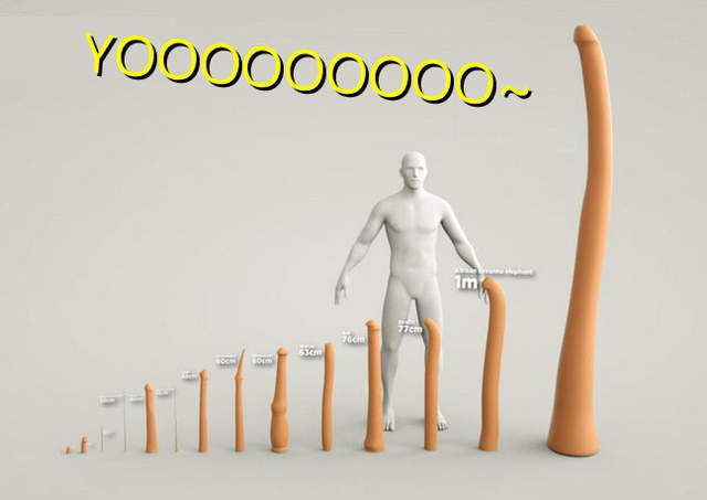 《動物界的巨根比一比》跟馬比起來鄉民的30cm還差了一點XD