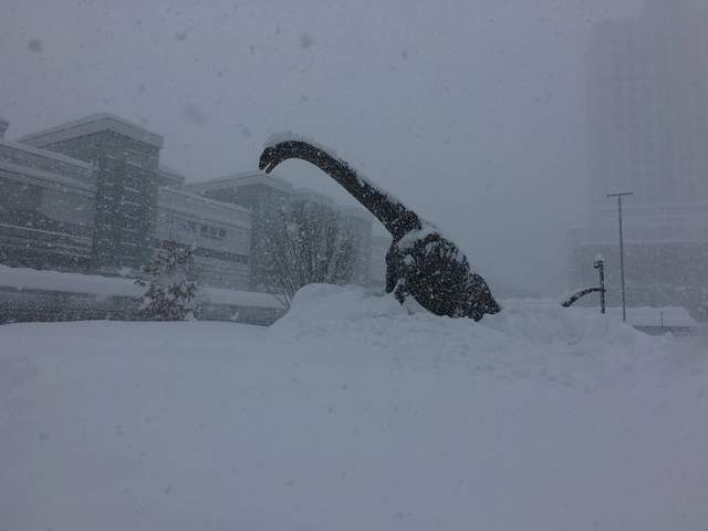 雪中奇景《福井車站進入冰河期》大雪覆蓋站前廣場讓恐龍再次面臨滅絕（誤）