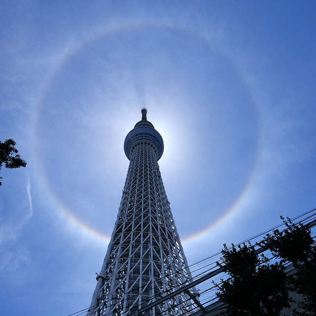 《東京晴空塔》出現日暈美景 日本網友擔心是地震前兆!? 《東京晴空塔》出現日暈美景 日本網友擔心是地震前兆!?