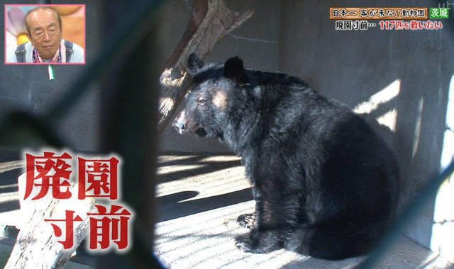 日本最慘動物園募資開始《東筑波烏托邦》拯救動物們的最後希望……
