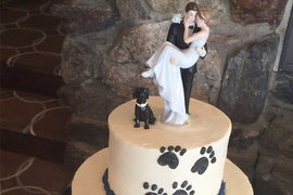 幸福滿滿《帶著狗狗一起結婚的主題蛋糕》狗狗也要成為一家人喔 幸福滿滿《帶著狗狗一起結婚的主題蛋糕》狗狗也要成為一家人喔