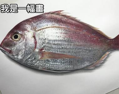 「徳田有希」迷上擬真繪圖系列《超逼真活跳跳魚繪圖》太厲害啦~ 「徳田有希」迷上擬真繪圖系列《超逼真活跳跳魚繪圖》太厲害啦~