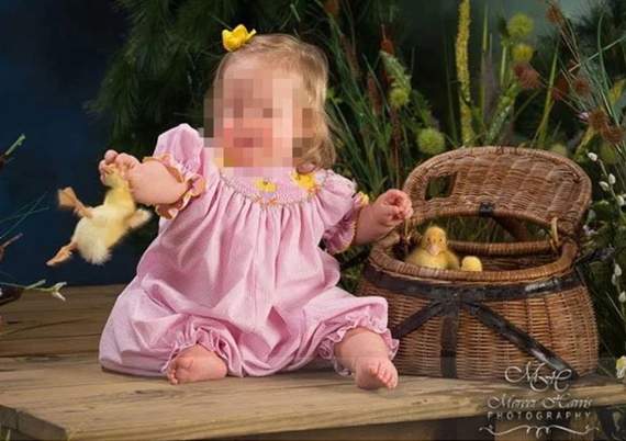 炎上《拍攝兒童人像作品，用鴨寶寶和兔兔當道具》慘變地獄繪圖…