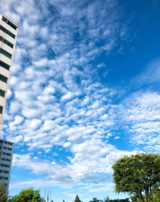 韓國網友分享看到《雲的魔力》有人跟他一樣一看就是10分鐘嗎....