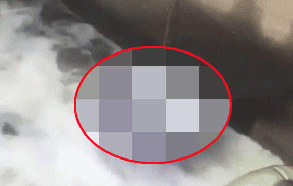 《意想不到的雨傘妙用》不用釣竿也能抓到魚的方法太神啦 《意想不到的雨傘妙用》不用釣竿也能抓到魚的方法太神啦