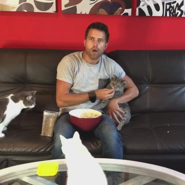 《單身貓奴之夜》喵星人表示你們不用太羨慕我家男人就是這麼帥ʘ̥ꀾʘ̥