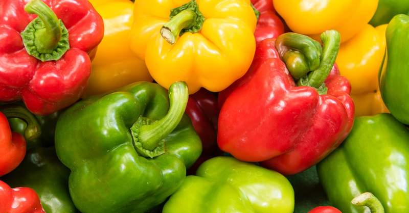 《關於青椒的常識》青椒放著最後就會變紅椒?  《關於青椒的常識》青椒放著最後就會變紅椒?