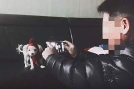 《我的爸爸討厭狗》痾...我是說之前 現在是不折不扣的鏟屎官w 《我的爸爸討厭狗》痾...我是說之前 現在是不折不扣的鏟屎官w