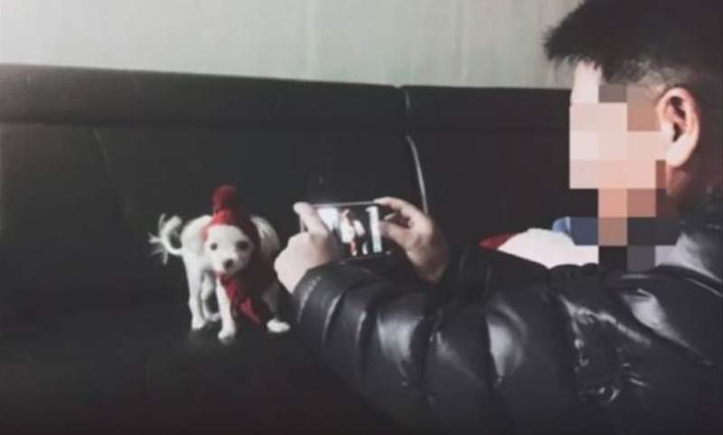 《我的爸爸討厭狗》痾...我是說之前 現在是不折不扣的鏟屎官w 《我的爸爸討厭狗》痾...我是說之前 現在是不折不扣的鏟屎官w