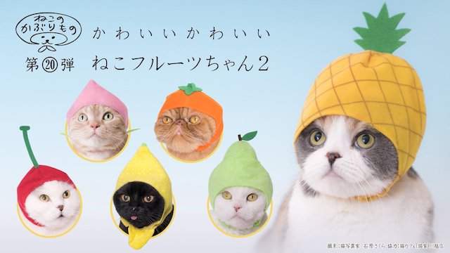 出不完的貓咪頭套《貓野菜第2彈水果頭套》貓主子來～幫你戴上新帽帽Σ( Φ ω Φ )....