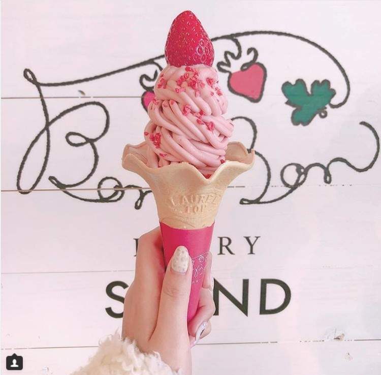 日本最新打卡甜點《伊豆草莓工場》放眼望去只看得到草莓❤這裡是天堂嗎ww