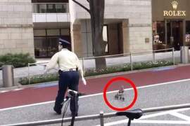 超暖心《日本警衛幫助鴨鴨母子過馬路》網友大讚東京也是很有人情味的嘛w 超暖心《日本警衛幫助鴨鴨母子過馬路》網友大讚東京也是很有人情味的嘛w