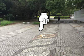 不想回家《到處躺的柴犬優》終於,主人找到了終極破解法ww 不想回家《到處躺的柴犬優》終於,主人找到了終極破解法ww