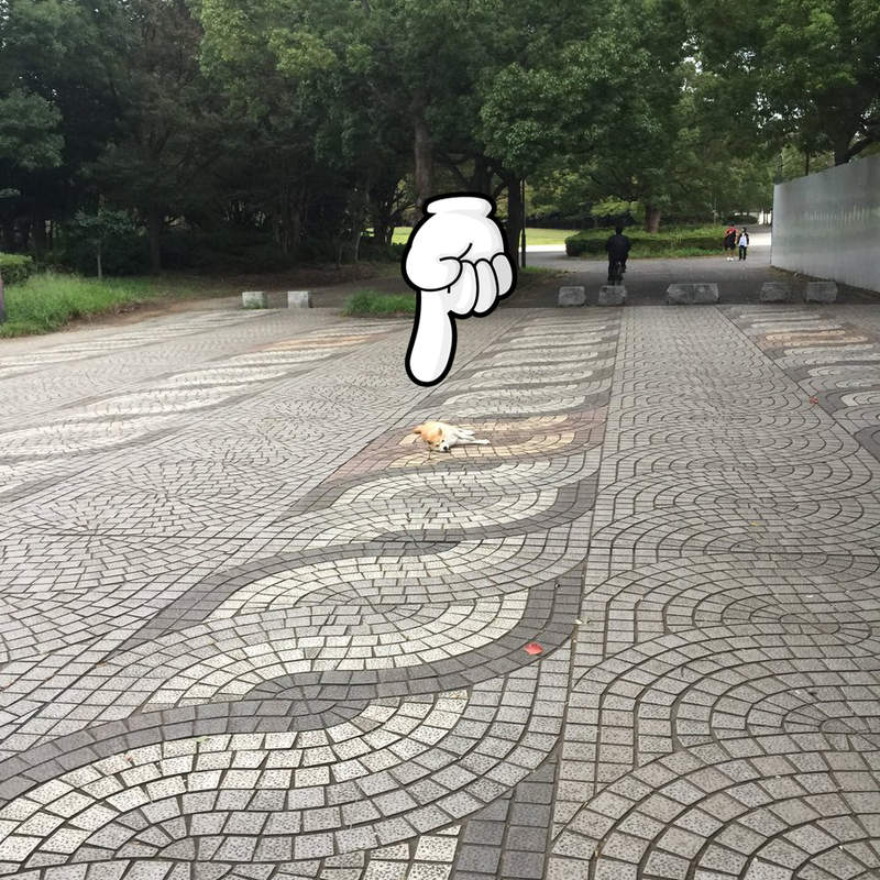 不想回家《到處躺的柴犬優》終於，主人找到了終極破解法ww