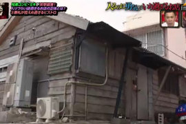 內行人法式美食《日本沖繩的破屋餐廳》反差萌緊緊抓住客人的心…… 內行人法式美食《日本沖繩的破屋餐廳》反差萌緊緊抓住客人的心……