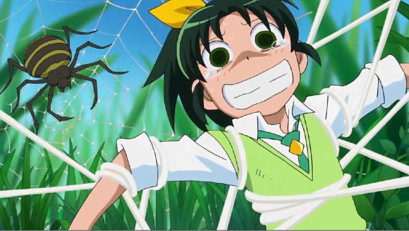 電玩迷疑惑《為什麼蜘蛛都是敵人》長得很可怕依然是益蟲呀……