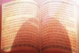 異世界語入門《異世界輕小說講日文不能通》理所當然的事情竟然很新奇…… 異世界語入門《異世界輕小說講日文不能通》理所當然的事情竟然很新奇……
