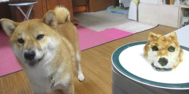 飼主試著做愛犬的《柴犬蘿蔔泥》超可愛還原柴柴的模樣