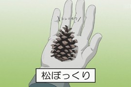 集思廣益想用途《漫畫特典送毬果》自己撿不就好了嗎…… 集思廣益想用途《漫畫特典送毬果》自己撿不就好了嗎……