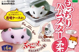 超可愛๑´ㅂ`๑《日式和菓子倉鼠轉蛋》大人氣的倉鼠點心組療癒登場 超可愛๑´ㅂ`๑《日式和菓子倉鼠轉蛋》大人氣的倉鼠點心組療癒登場