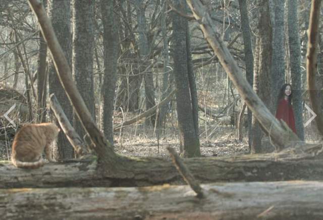 你看的到我嗎《七年之夜》韓國一場車禍帶走5歲小女孩...