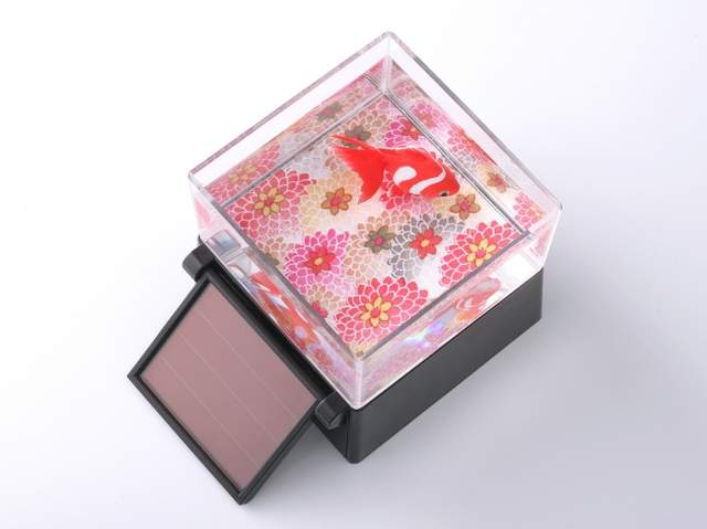 《太陽能金魚模型》不用電池不用飼料有光就能療癒你 《太陽能金魚模型》不用電池不用飼料有光就能療癒你