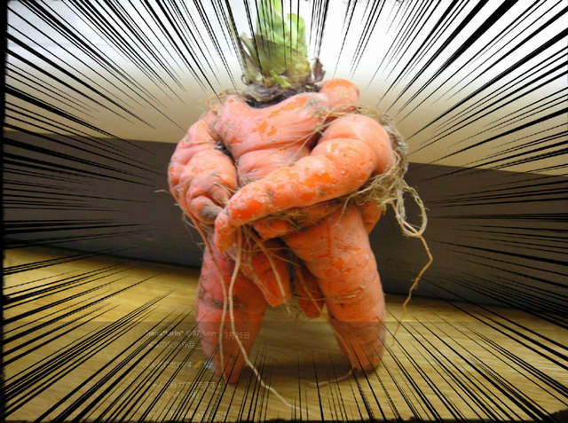 《史上最壯大根》整身肌肉的紅蘿蔔就是MAN