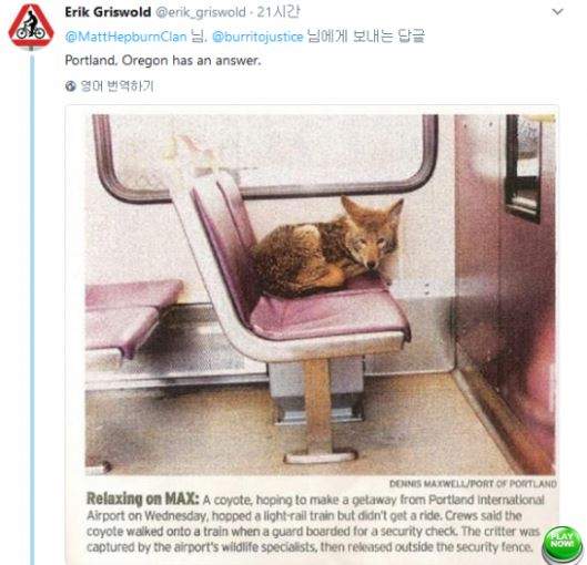 超可愛動物當乘客《會搭車的動物們》到站記得通知他們阿ＸＤ