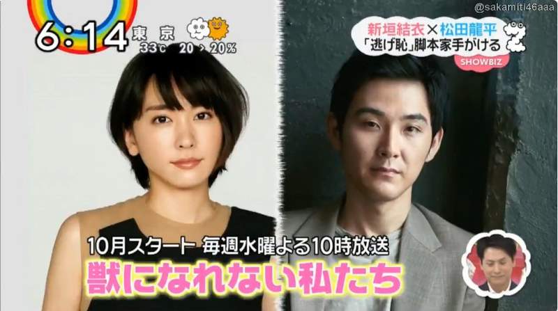 《新垣結衣》再搭「月薪嬌妻」班底　最新日劇與松田龍平雙主演