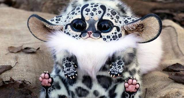 多看一眼才能確定的《混淆動物》原來寵物界也有Cosplay? 多看一眼才能確定的《混淆動物》原來寵物界也有Cosplay?