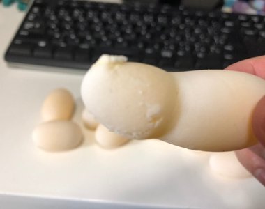 每年慣例《初音烏龜2018年下蛋記》偏偏選在有人來家裡的時候…… 每年慣例《初音烏龜2018年下蛋記》偏偏選在有人來家裡的時候……