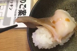 推特瘋傳《新鮮過頭的北寄貝壽司》還真的第一次看到會動的壽司料啊... 推特瘋傳《新鮮過頭的北寄貝壽司》還真的第一次看到會動的壽司料啊...