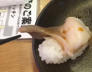 推特瘋傳《新鮮過頭的北寄貝壽司》還真的第一次看到會動的壽司料啊... 推特瘋傳《新鮮過頭的北寄貝壽司》還真的第一次看到會動的壽司料啊...