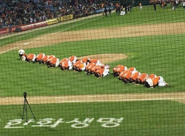 韓國網友在網路找生魚片《GOOGLE竟誤會這張也是生魚片》好啦很像XD