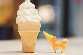 這是什麼奇特生物?《「三角錐柴犬」盒玩》天然呆紀念物傻萌登場 這是什麼奇特生物?《「三角錐柴犬」盒玩》天然呆紀念物傻萌登場