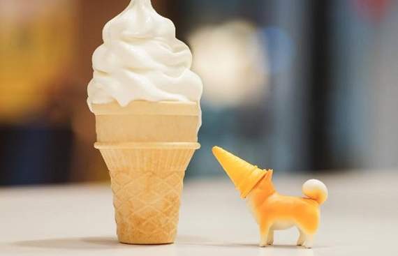 這是什麼奇特生物?《「三角錐柴犬」盒玩》天然呆紀念物傻萌登場 這是什麼奇特生物?《「三角錐柴犬」盒玩》天然呆紀念物傻萌登場