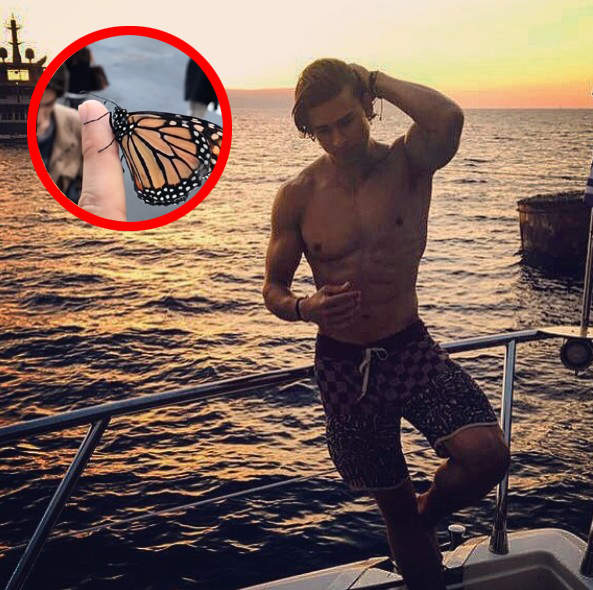 《鮮肉與蝴蝶的奇遇》這完全是可以寫成一本浪漫小說的劇情嘛 《鮮肉與蝴蝶的奇遇》這完全是可以寫成一本浪漫小說的劇情嘛