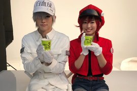 《工作細胞真人舞台劇》全演員定案 令人在意的萌萌血小板也出爐了唷~ 《工作細胞真人舞台劇》全演員定案 令人在意的萌萌血小板也出爐了唷~