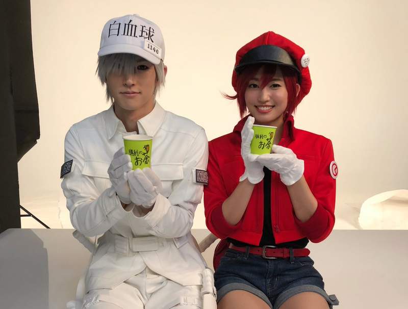 《工作細胞真人舞台劇》全演員定案 令人在意的萌萌血小板也出爐了唷～