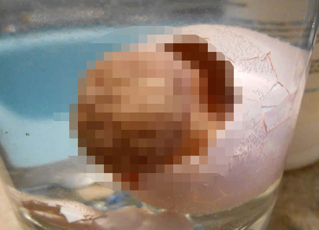 恐怖玩具《水裡敷寶寶》看了以後會留下陰影.......