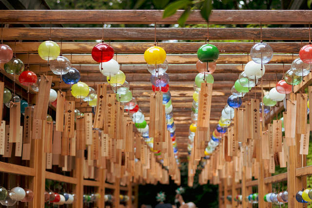 夏天的風將《川越冰川神社》的《2018結緣風鈴祭》吹奏起戀愛的風 夏天的風將《川越冰川神社》的《2018結緣風鈴祭》吹奏起戀愛的風