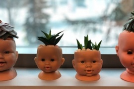 《詭異改造設計》都是一些晚上會嚇死人的玩意兒...... 《詭異改造設計》都是一些晚上會嚇死人的玩意兒......