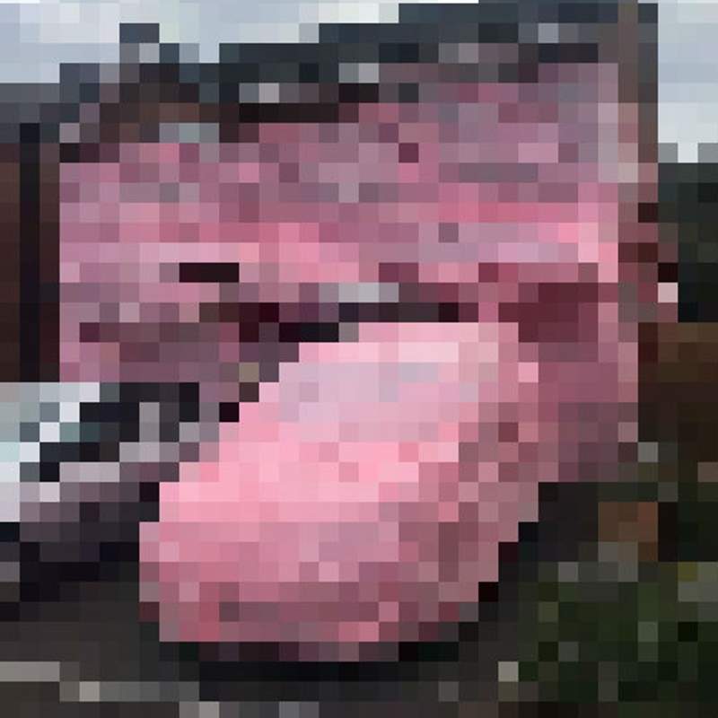 蜜月過太爽被朋友惡整《新家變粉紅屋》玩這麼大是不是 修都欸丟啦( ̄▽ ̄) 蜜月過太爽被朋友惡整《新家變粉紅屋》玩這麼大是不是 修都欸丟啦( ̄▽ ̄)