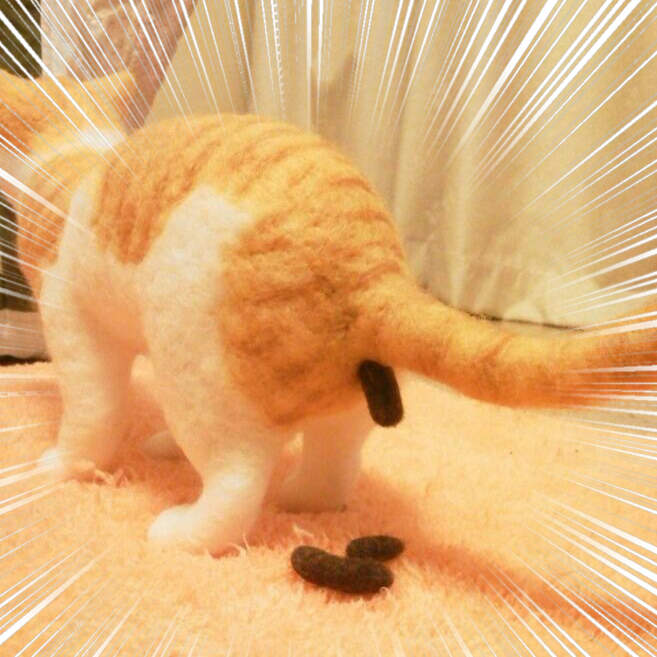 《便便中的貓咪羊毛氈》喵表示:你考慮過我大便變成作品被保留下來的心情嗎...゚∀゚) 《便便中的貓咪羊毛氈》喵表示:你考慮過我大便變成作品被保留下來的心情嗎...゚∀゚)