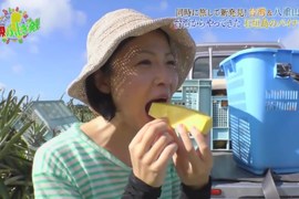 沖繩觀光歷史課《台灣移民建立鳳梨產業》了解這段故事石垣島更好玩…… 沖繩觀光歷史課《台灣移民建立鳳梨產業》了解這段故事石垣島更好玩……