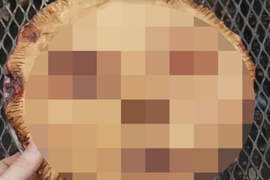 【閱覽注意】《人臉派》讓人完全沒食慾的創作拿來嚇人就對惹 【閱覽注意】《人臉派》讓人完全沒食慾的創作拿來嚇人就對惹