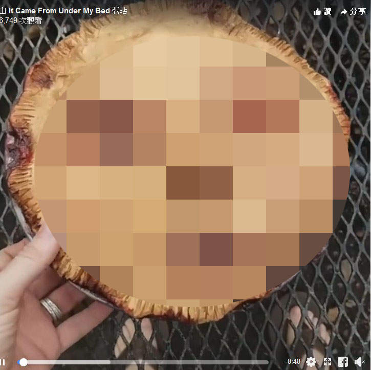 【閱覽注意】《人臉派》讓人完全沒食慾的創作拿來嚇人就對惹