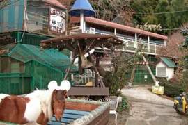 年賠500萬《全日本最荒涼的動物園》動物都是曾被遺棄,收養來的 年賠500萬《全日本最荒涼的動物園》動物都是曾被遺棄,收養來的
