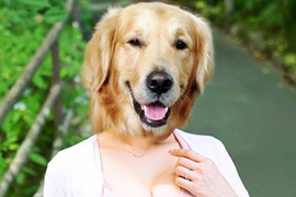 問問男生《長得像黃金獵犬的女生》個性超好能夠接受當女朋友嗎? 問問男生《長得像黃金獵犬的女生》個性超好能夠接受當女朋友嗎?
